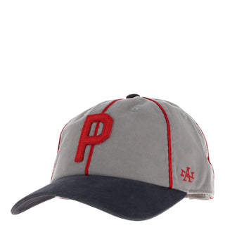 Chapeau American Needle couleur gris