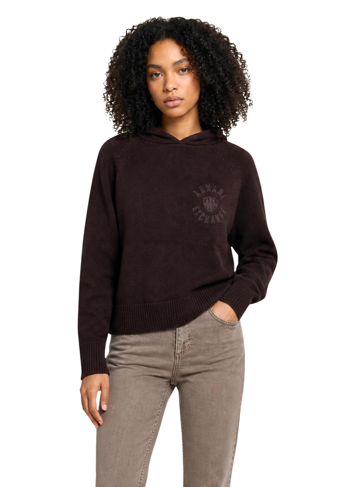Pull Armani Exchange couleur marron