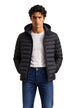 Veste Tommy Hilfiger couleur noir