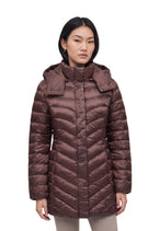 Veste Ea7 couleur marron